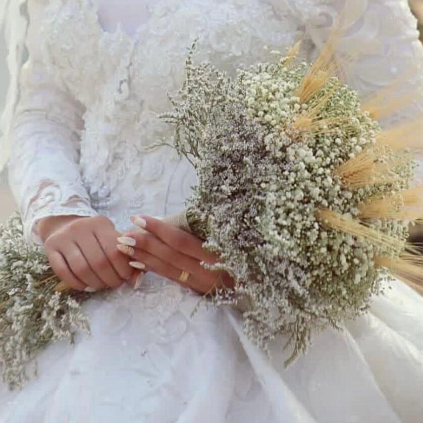 Gypsophila with dry flowers