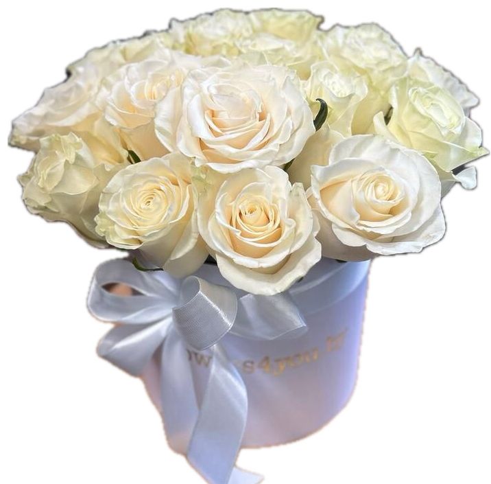 Flowers Flowers