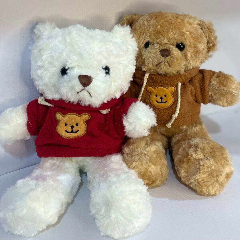 Teddy bear