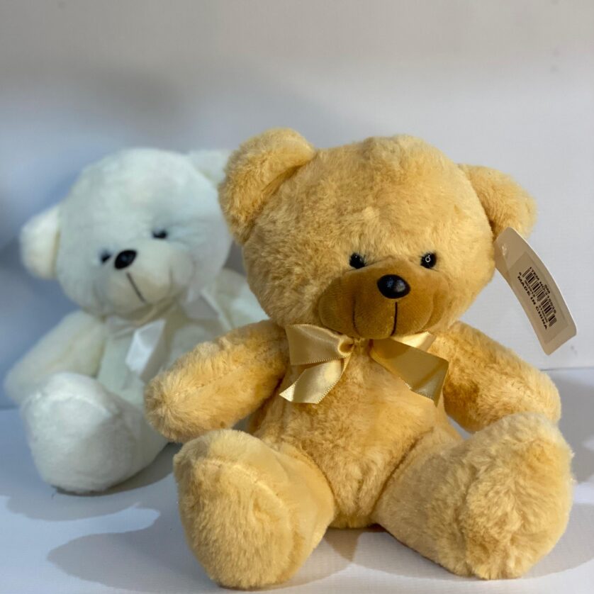 Teddy bear