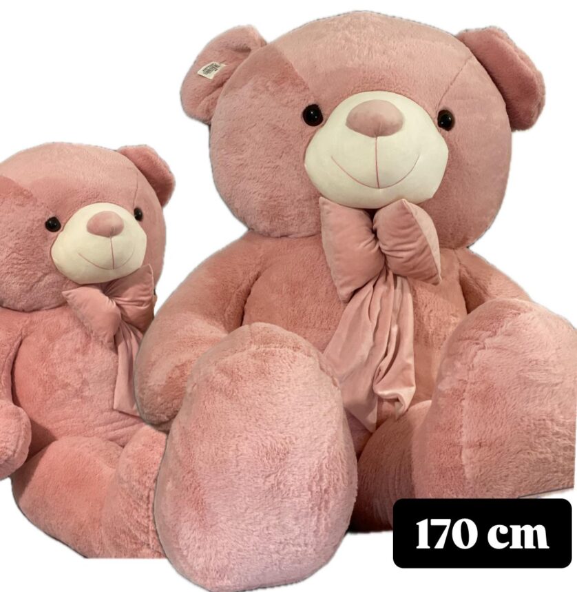 Special Teddy Bear