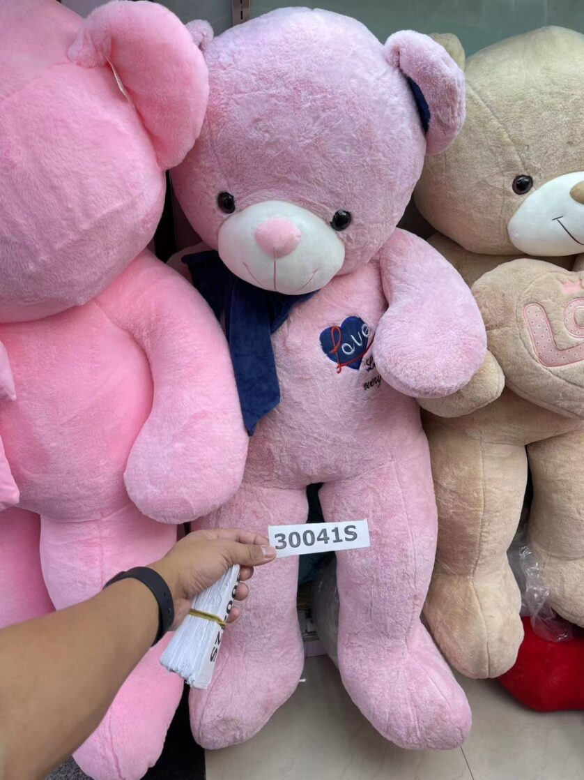 Special Teddy Bear